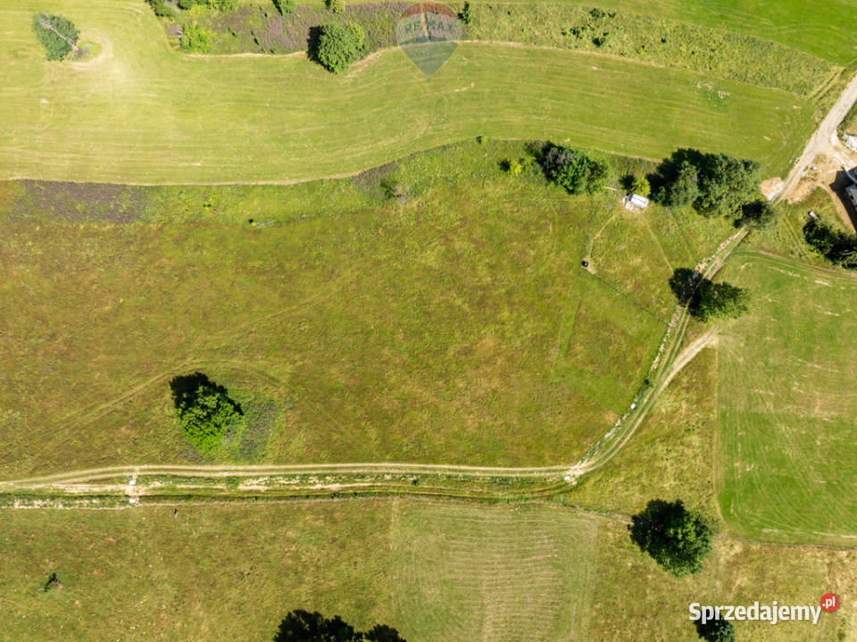 SIEROCKIE DZIAŁKA Z WIDOKIEM NA TATRY 1206M2