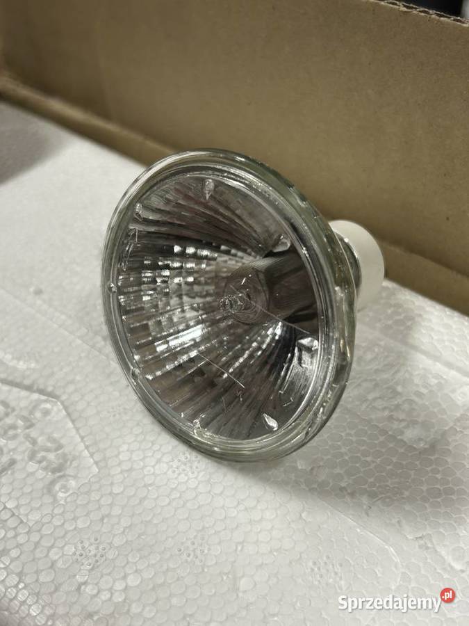 Lampa halogen sufitowy x 4 srebrny Massive Świętochłowice