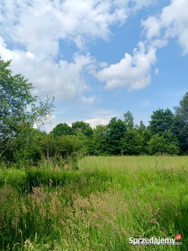 ŁADNA DZIAŁKA W ŚWIERZOWEJ POLSKIEJ 24 AR 2434m2