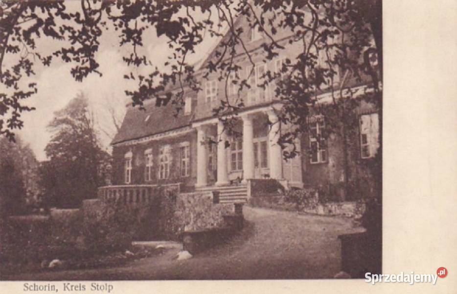 Nieruchomość z duszą zabytkowy pałac Skórzyno pomorskie