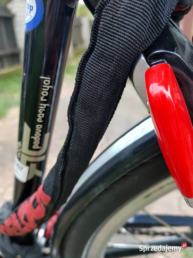 Rower elektryczny BATAVUS Padova pasy royal Żabia Wola