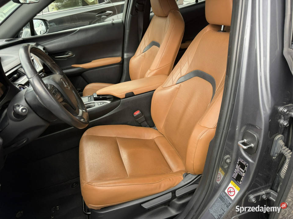 Lexus UX 20 Hybrid Skóra Ful LED Premium automatyczna Łodygowice sprzedam