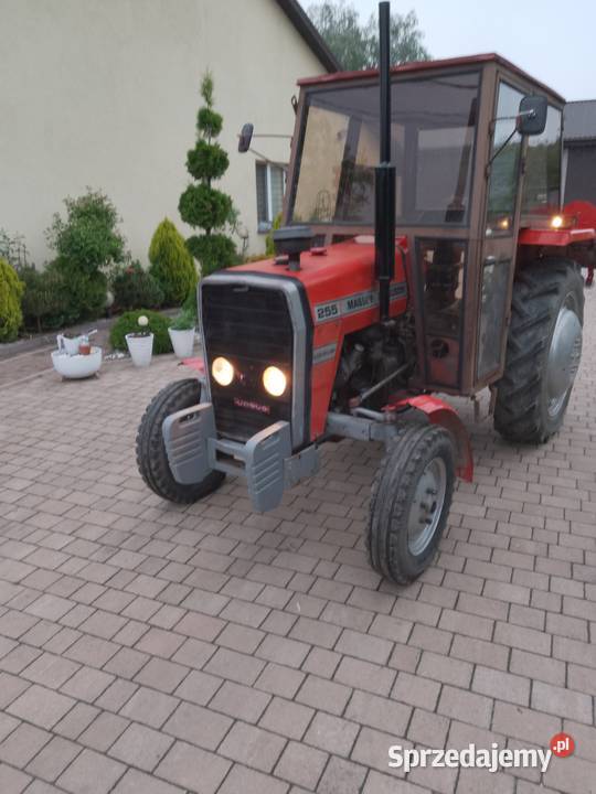 Sprzedam Massey Ferguson z1987r oryginał Szczytniki sprzedam