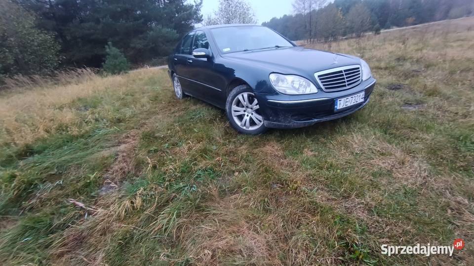 S320 32 CDI 204 konie myślę że stan