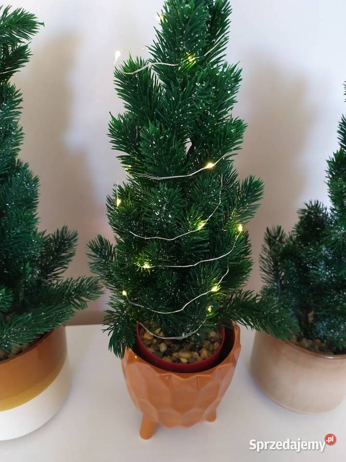 Zestaw 3 x choinka w doniczce