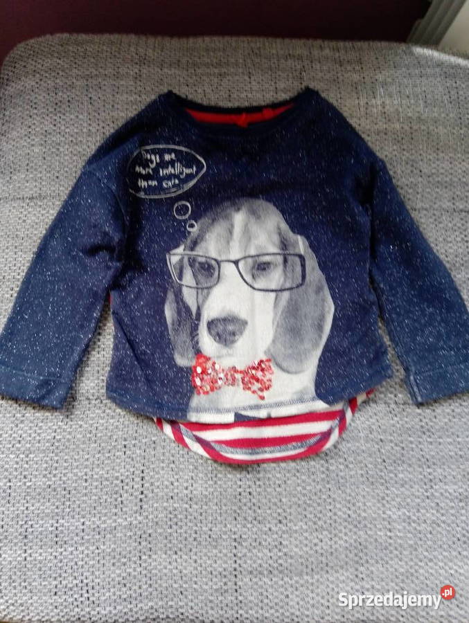 Bluza dziewczynki rozmiar 98 firmy Next Włocławek