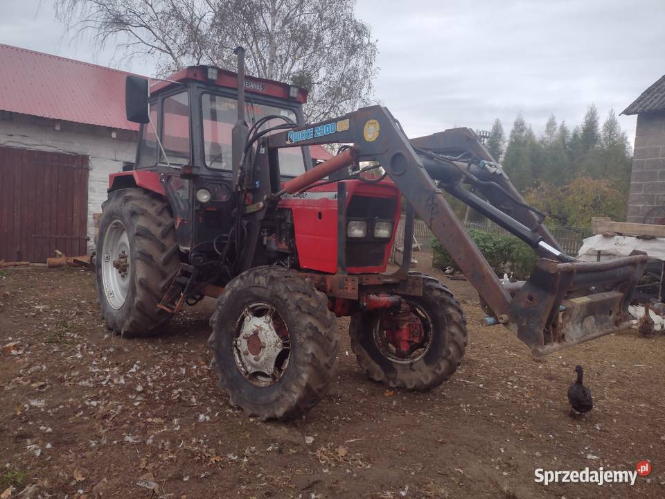 Ciągnik MTZ 82 przedni napęd Dobra - Sprzedajemy.pl