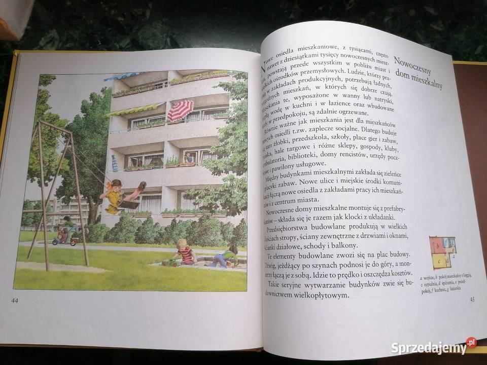 Dach głową podkarpackie