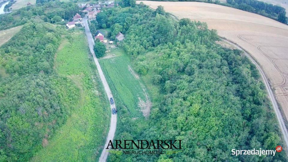 DZIAŁKI W MALOWNICZEJ OKOLICY Santok sprzedam