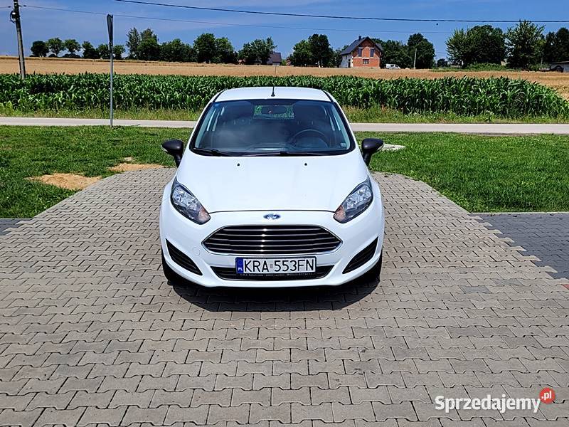 Śliczny i Super Zadbany biały Słomniki