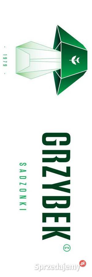 Pomidor malinowy ANTELAIS sadzonki pomidorów Jelenia Góra sprzedam