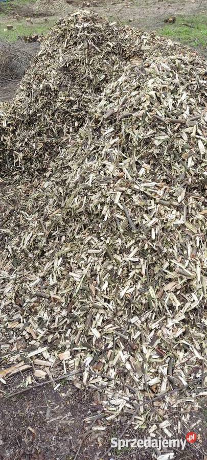 Zrębki akacjowośliwkowe