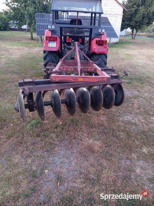 Brona Talerzowa Talerzówka lubelskie Kock