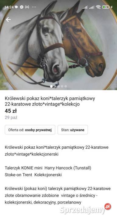 Zestaw Pabianice sprzedam