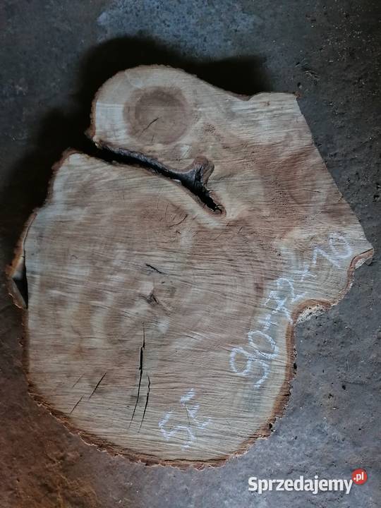 Suche plastry z orzecha jabłoni gruszy lipy pod Kamyk