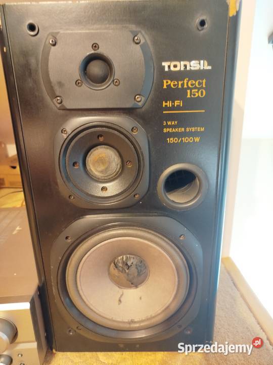 Kolumny Tonsil Perfect 150 wielkopolskie