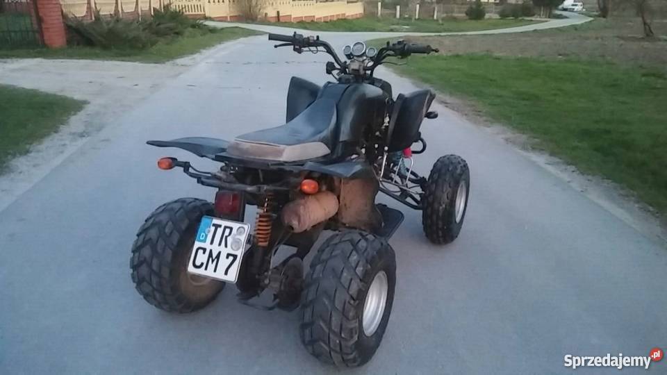 Quad BASHAN 200 Nowy Ogłoszenie Prywatne Połaniec