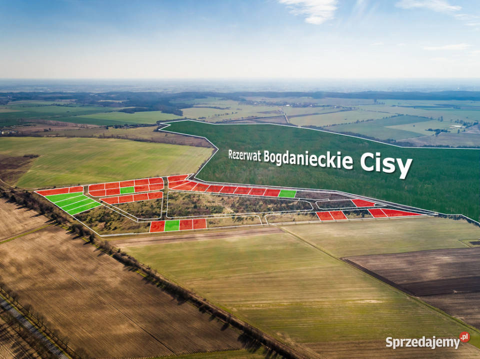 Działki na granicy BaczynaMarwice miejscowy plan Sprzedaż lubuskie Baczyna