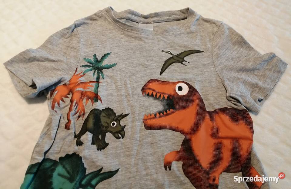 Koszulka krótki rękaw Tshirt dinozaury 116 CA Rozmiar 116 Czeladź