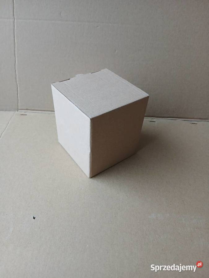 Pudełko Karton Fasonowe Klapowe 100x100x115mm 15