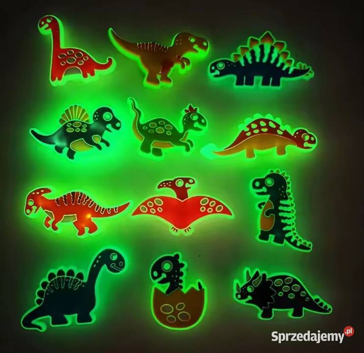 Przypinki do butów crocs charms piny świecące śląskie