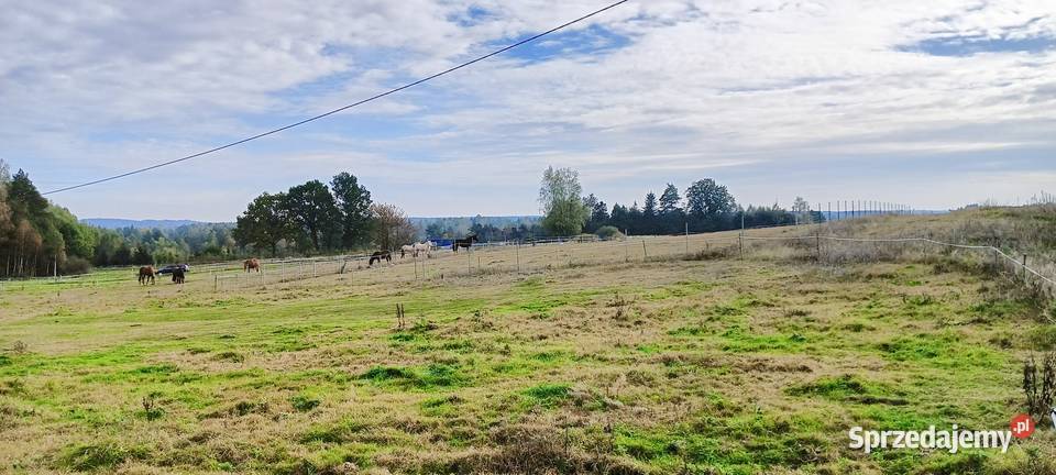 Działka w Szemudzkiej Hucie 149 M2 149zł/m2