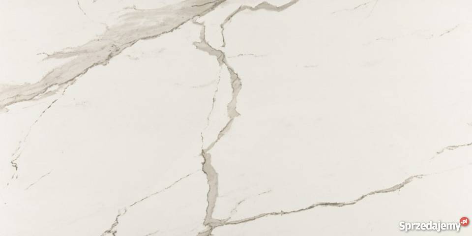 Gres Szkliwiony Albatros Calacatta 60 x 1195 x Krzywda