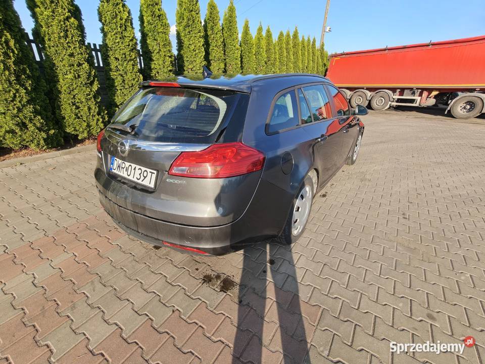 Opel Insignia A 2011 20 CDTI 160 Działoszyn