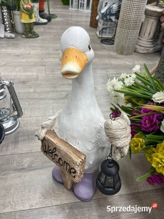 Gąska solar Limanowa