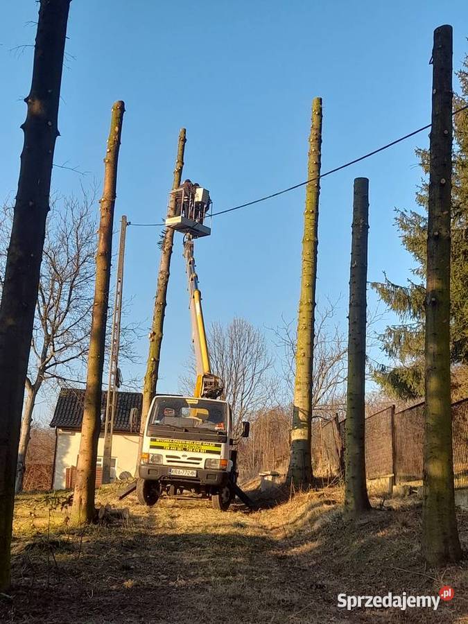 Usuwanie drzew gałezi korzeni rębak zwyzka Skawina