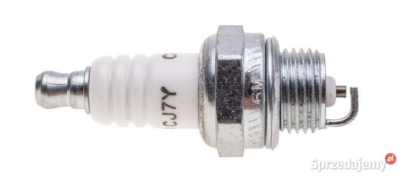 Świeca zapłonowa Champion RCJ7Y 24 RCJ7Y24 Dom i Ogród wielkopolskie Opalenica