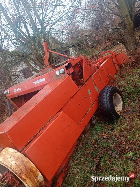 Prasa Sipma Kostkujące Beźnik