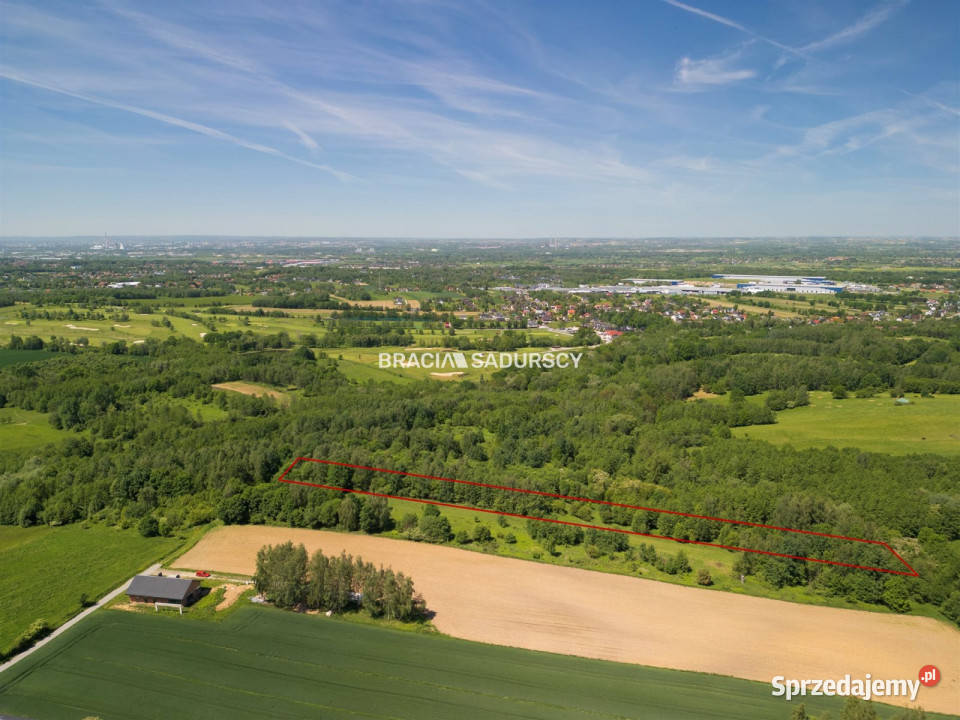 sprzedaży działki 4800 metrów Bodzanów sprzedam
