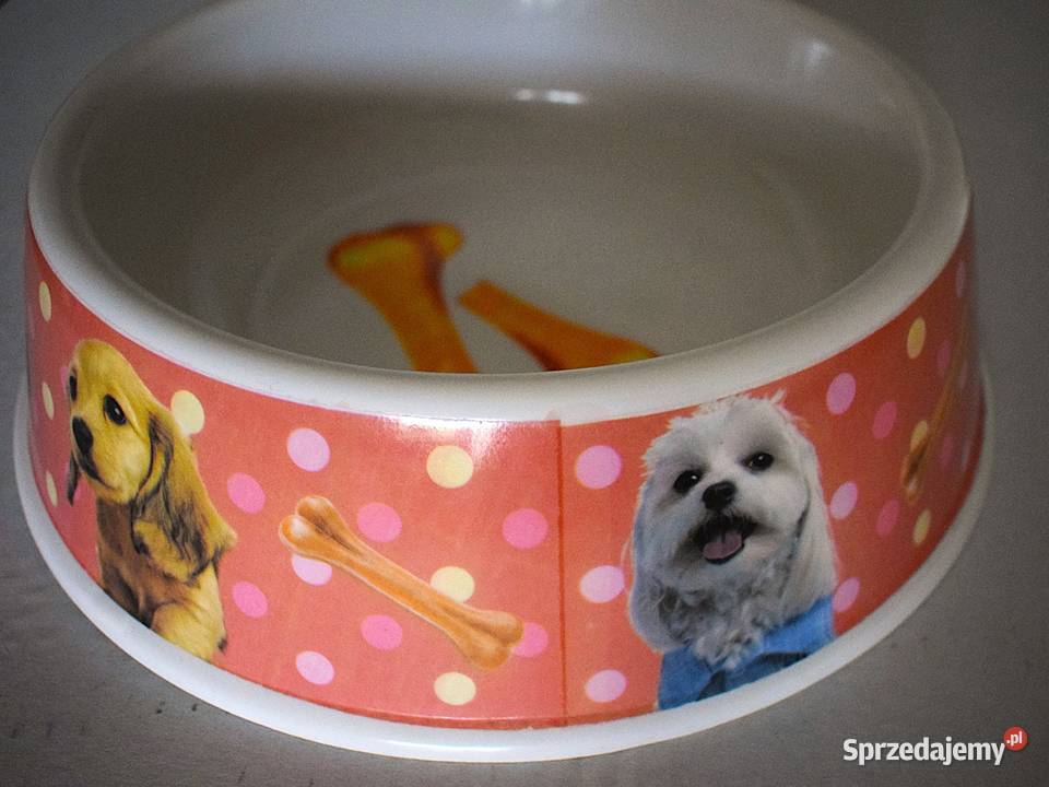 Dwie kolorowe miski pieska Chełmno