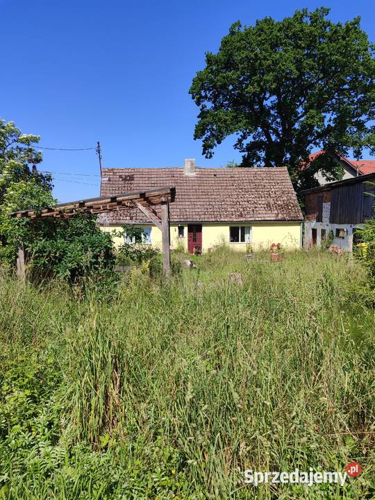 Dom z dużą działką morza Darłowo