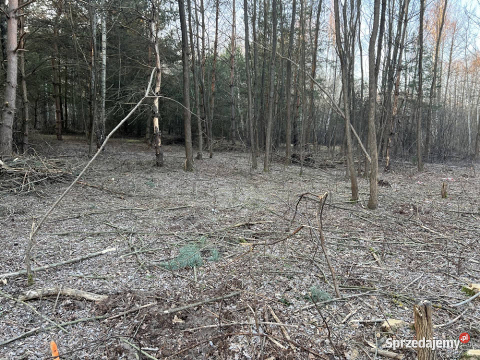 Działka budowlana w miejscowości Wola Pieczyska budowlana