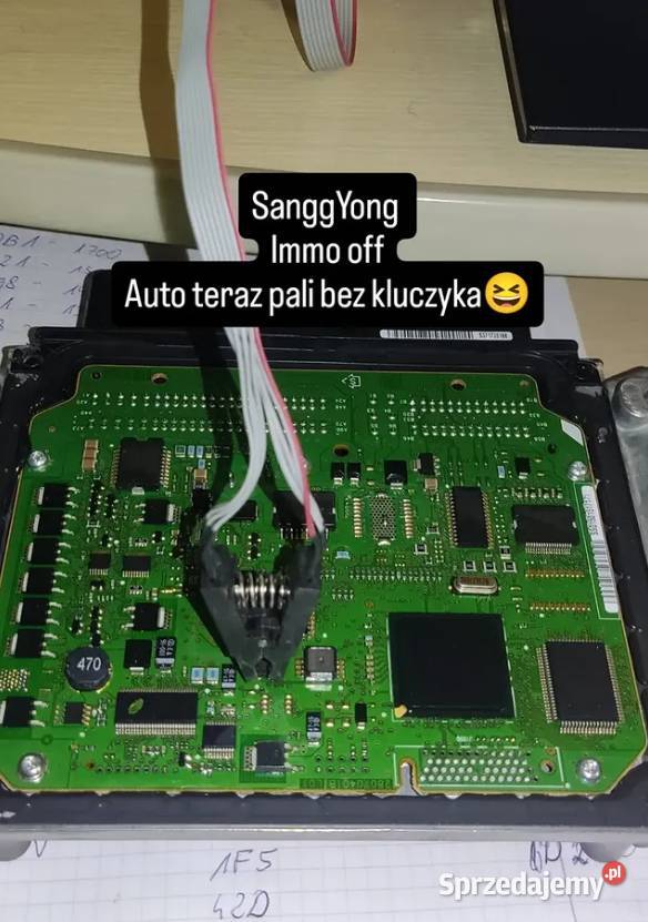 Chiptuning Adblue off Diagnostyka Immo off Drzewica