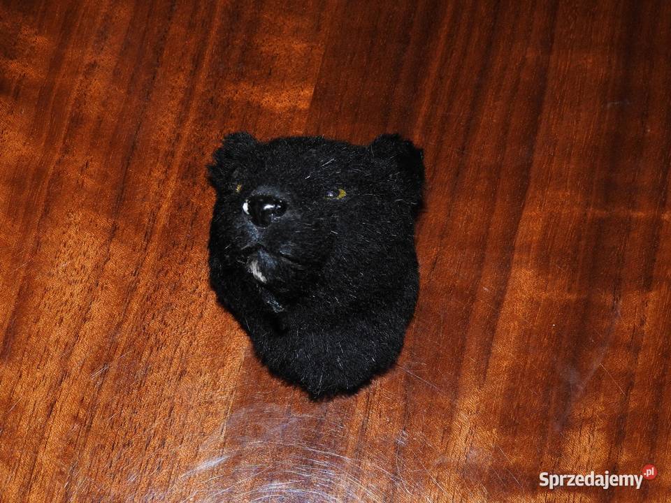 Pantera na magnes Przemyśl sprzedam