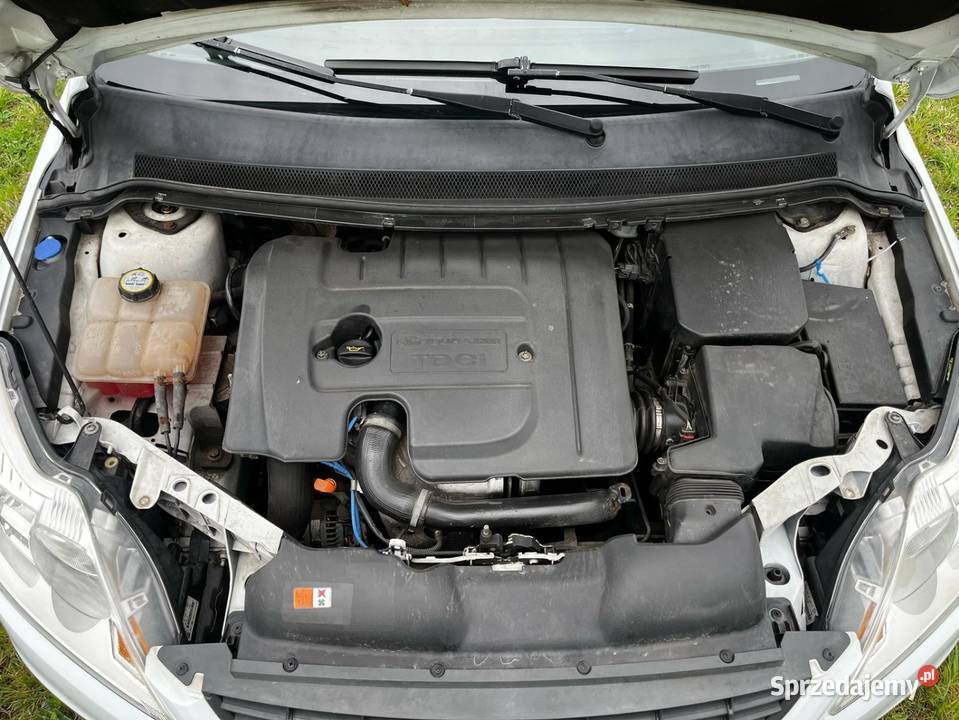 FORD FOCUS lubuskie Skwierzyna