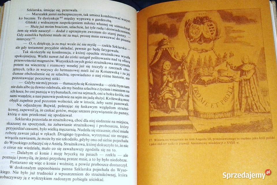 Saskie ostatki Józef Ignacy Kraszewski Chełm