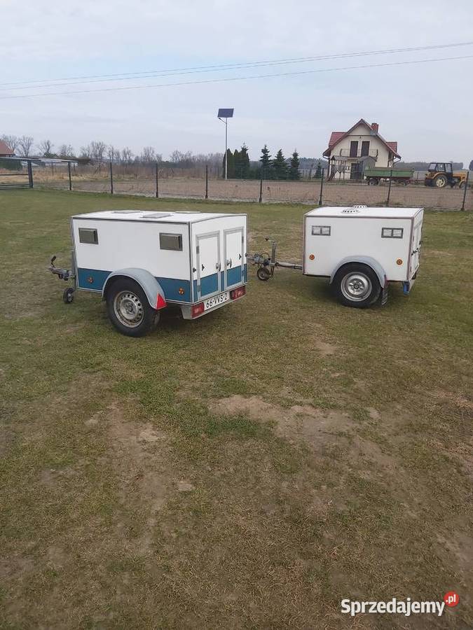 Przyczepa Przyczepka Samochodowa Lekka do Syców