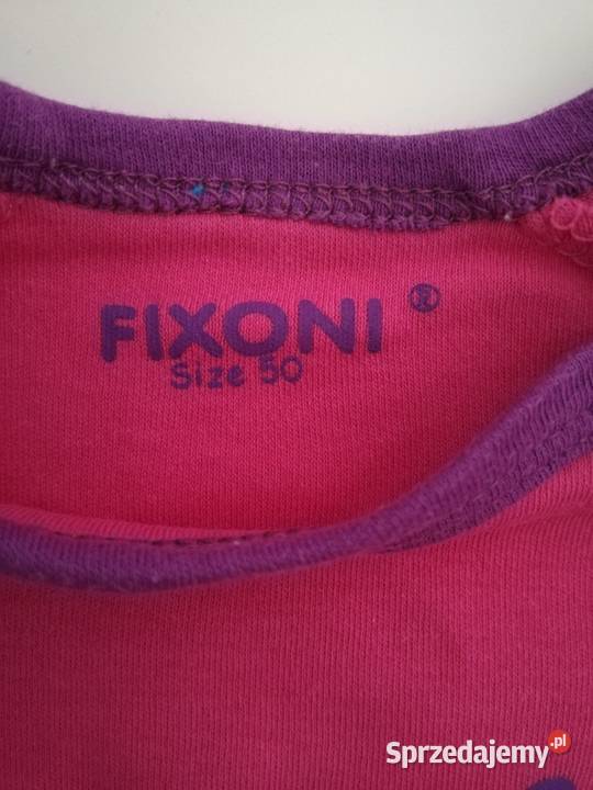 Body Fixoni 5056 Katowice