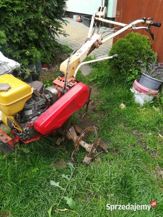 Glebogryzarka dzik firmy Honda zachodniopomorskie Niwka