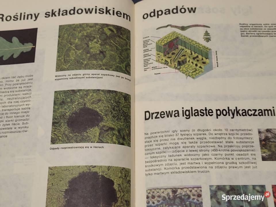 Wiedza i Życie 9 z 1990 roku Nakło nad Notecią