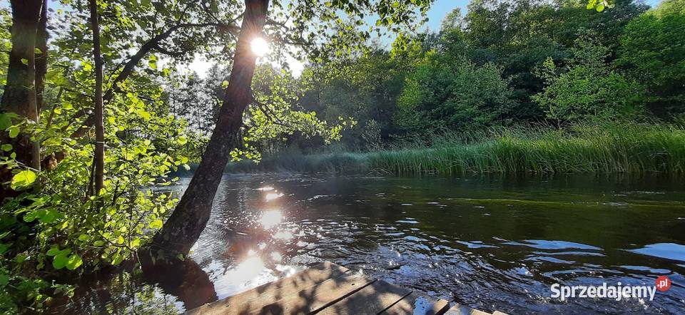 Offline camp noclegi pod gwiazdami Warszawa