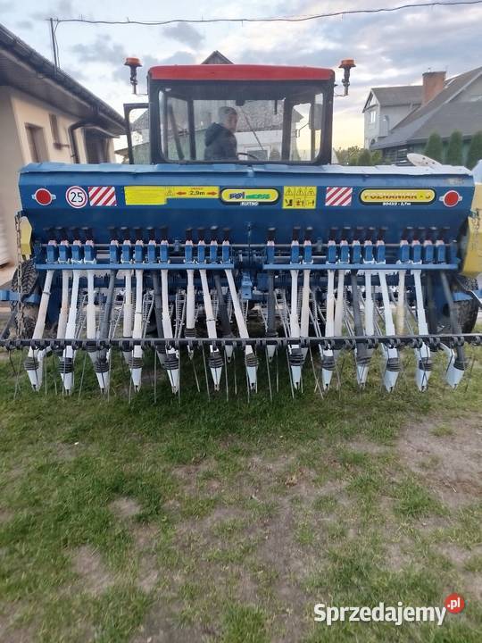 Sprzedam poznaniaka lubelskie Michałówka