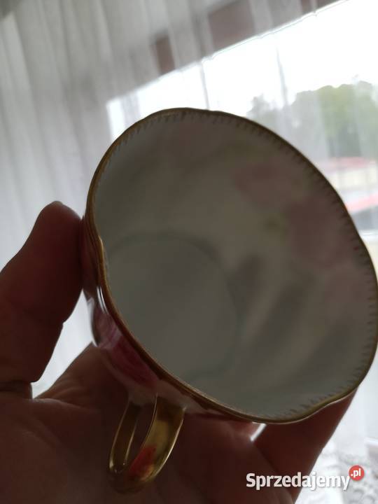 Cudna filiżanka Rosenthal Chryanthene Cacilie