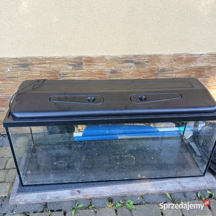 Akwarium 240 l Łańcut