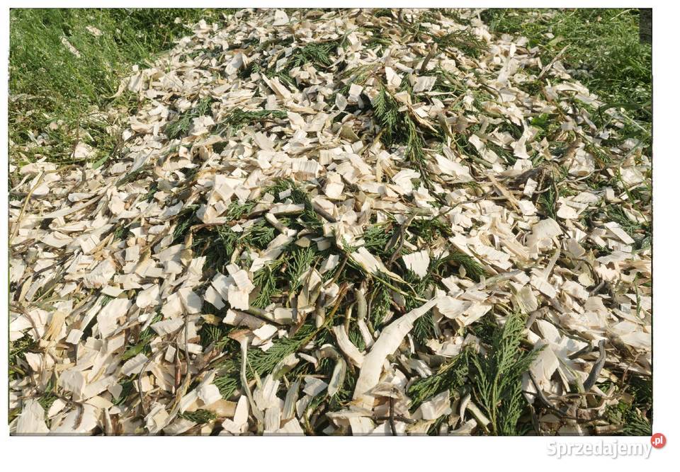 Rębak do gałęzi na WOM 9 PERUZZO model TB100 Głogoczów