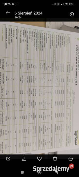 sprzedam pszenica ozima nowa odmiana 2025 opolskie Ligota Bialska sprzedam